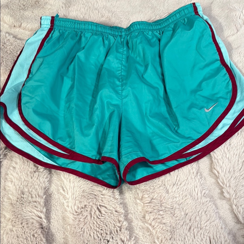 Nike Teal and Maroon Athletic Shorts
